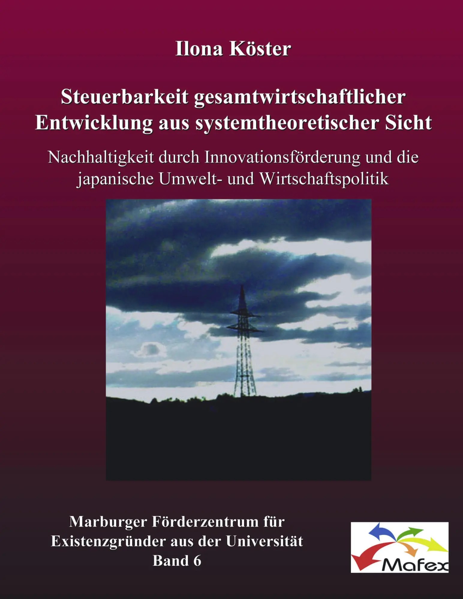 Steuerbarkeit gesamtwirtschaftlicher Entwicklung aus systemtheoretischer Sicht: Nachhaltigkeit durch Innovationsförderung und die japanische Umwelt- und Wirtschaftspolitik