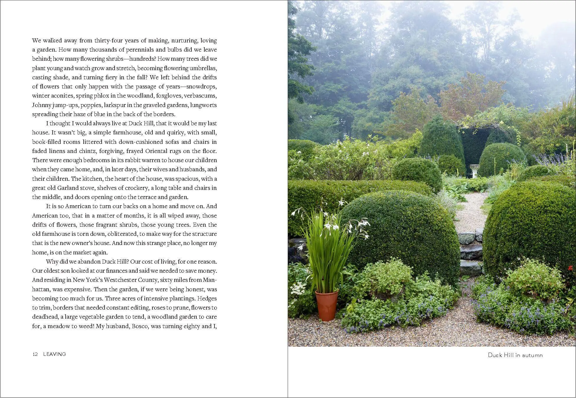 Bild: 9781604699579 | Uprooted | A Gardener Reflects on Beginning Again | Page Dickey | Buch