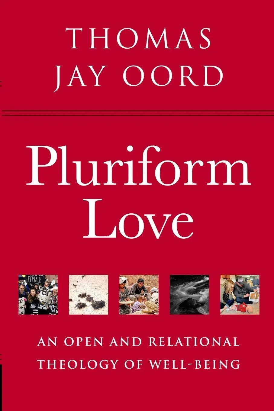 Cover: 9781948609579 | Pluriform Love | An Open and Relational Theology of Well-Being | Oord