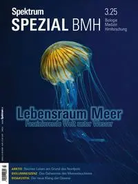 Cover: 9783958929579 | Spektrum Spezial BMH 3/2025 - Lebensraum Meer | Wissenschaft | Buch