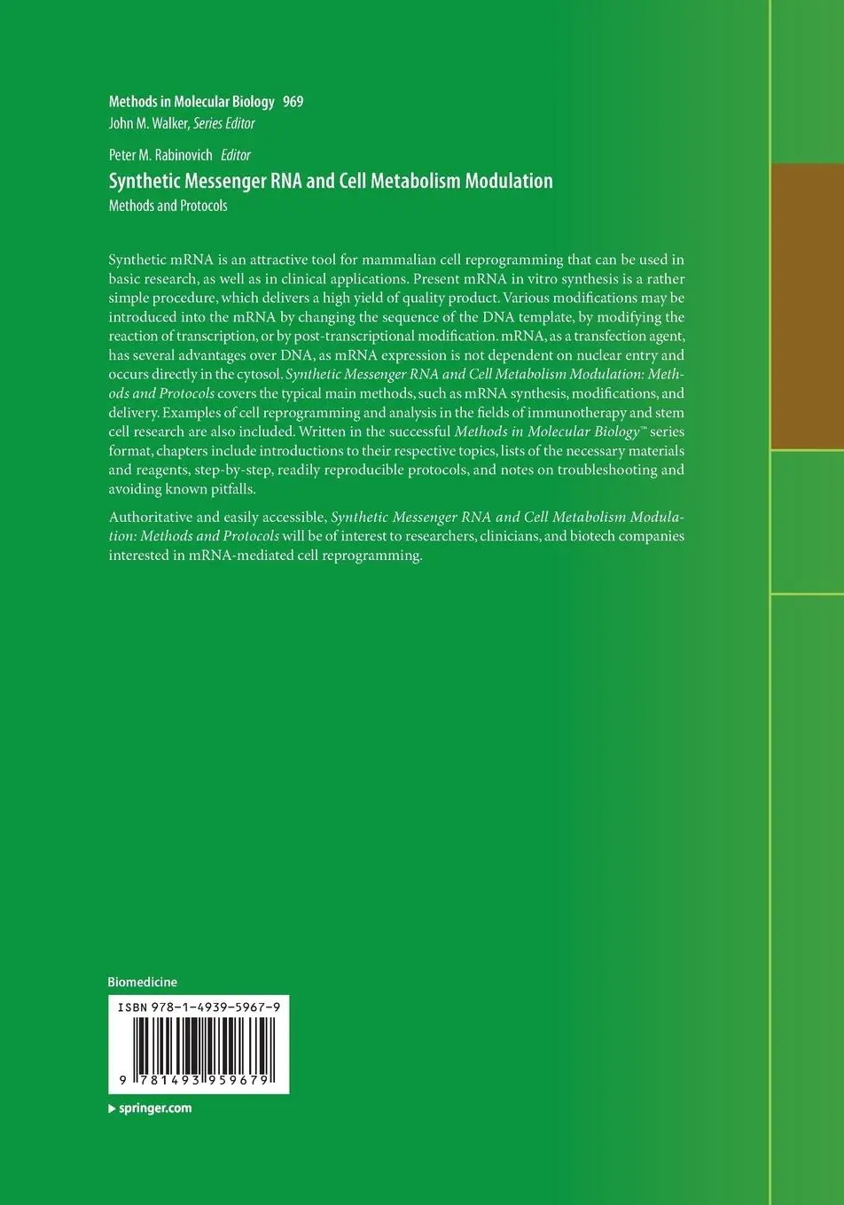 Rückseite: 9781493959679 | Synthetic Messenger RNA and Cell Metabolism Modulation | Rabinovich
