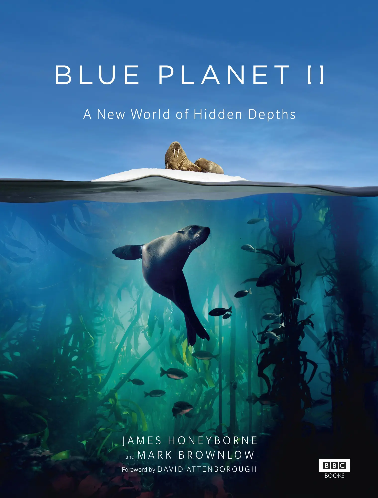 Cover: 9781849909679 | Blue Planet II | A New World of Hidden Depths | Honeyborne (u. a.)