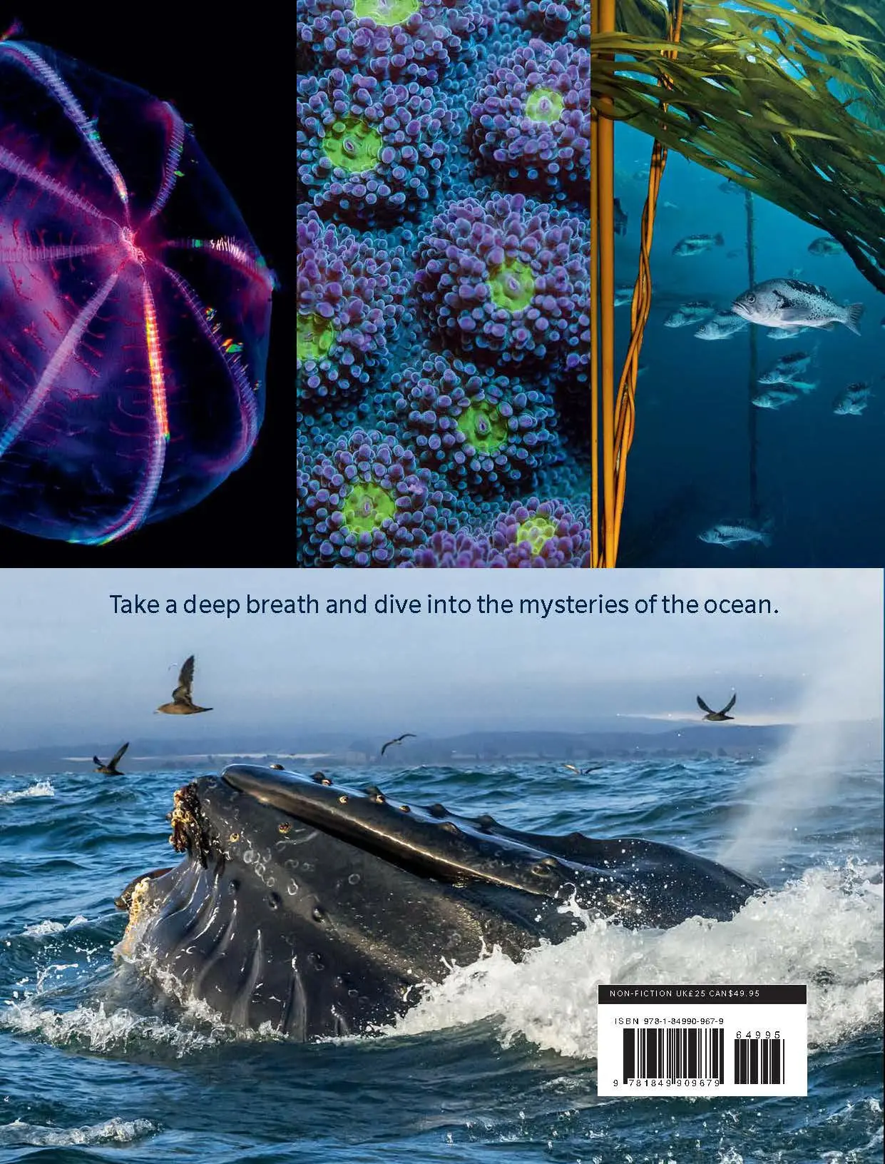 Rückseite: 9781849909679 | Blue Planet II | A New World of Hidden Depths | Honeyborne (u. a.)