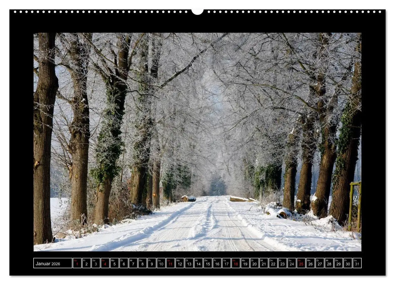 Bild: 9783516069679 | Ratinger Bilderbogen (Wandkalender 2026 DIN A2 quer), CALVENDO...