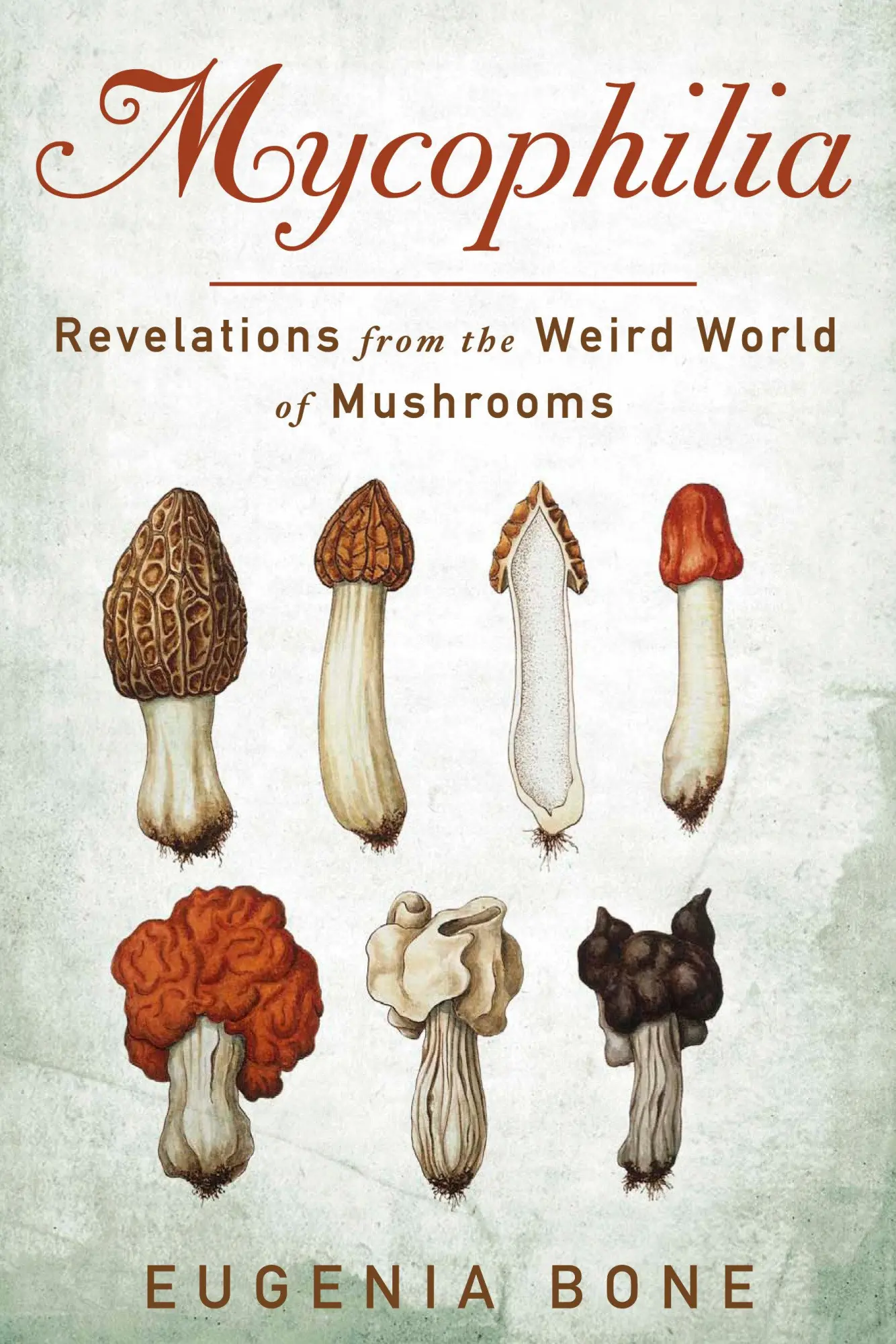 Cover: 9781609619879 | Mycophilia | Revelations from the Weird World of Mushrooms | Bone
