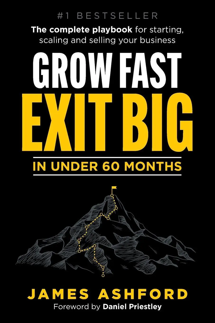 Cover: 9781781339879 | Grow Fast, Exit Big in Under 60 Months | James Ashford | Taschenbuch