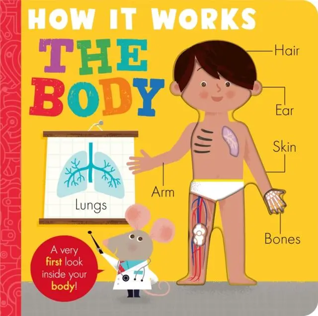 Cover: 9781788819879 | How it Works: The Body | Amelia Hepworth | Buch | Papp-Bilderbuch