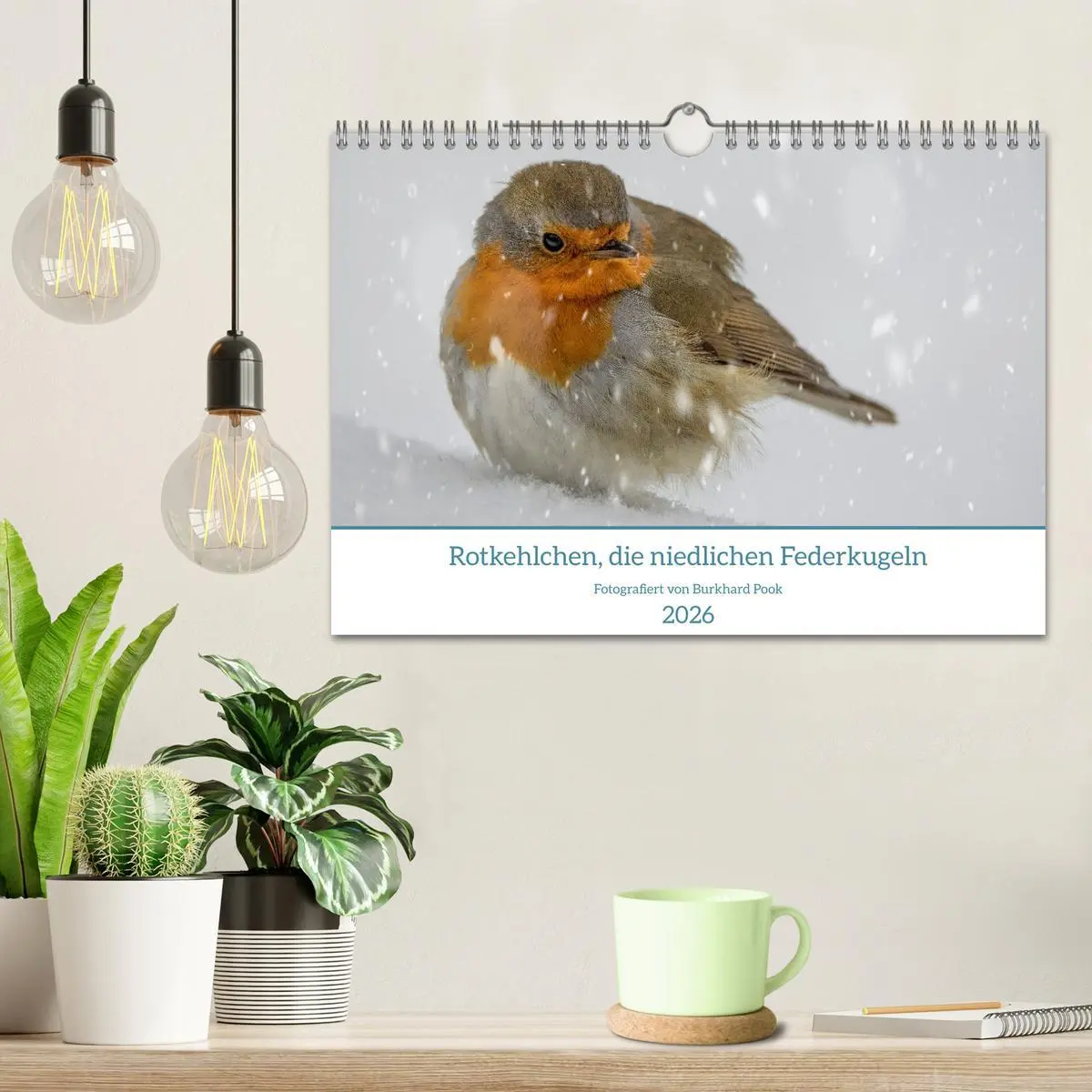 Bild: 9783457269879 | Rotkehlchen, die niedlichen Federkugeln (Wandkalender 2026 DIN A4...