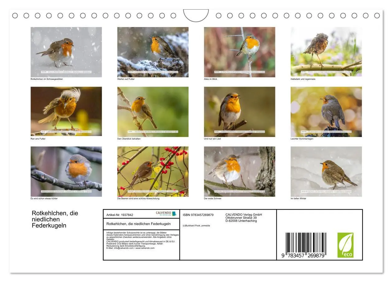 Bild: 9783457269879 | Rotkehlchen, die niedlichen Federkugeln (Wandkalender 2026 DIN A4...
