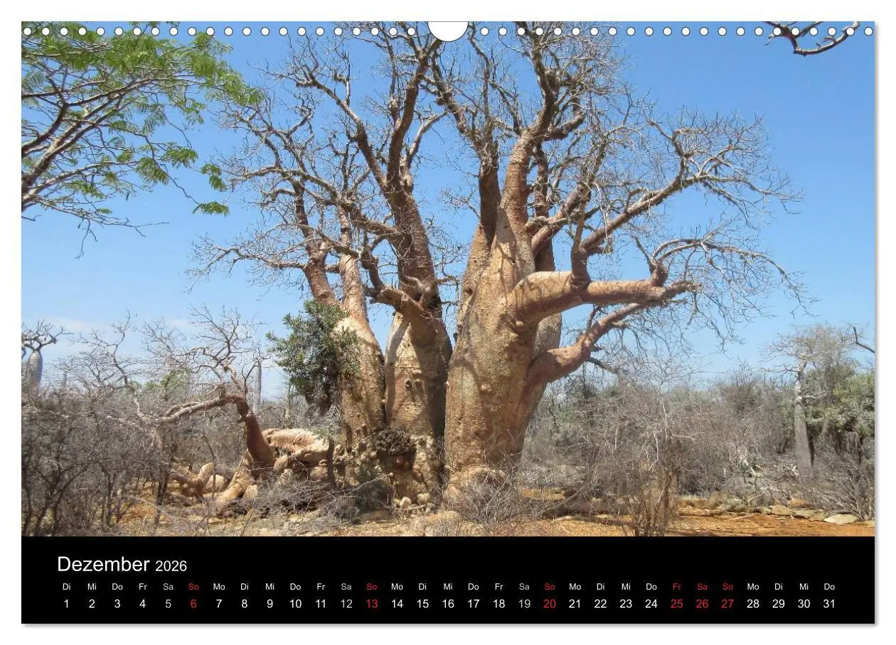 Bild: 9783457959879 | Abenteuer Madagaskar (Wandkalender 2026 DIN A3 quer), CALVENDO...