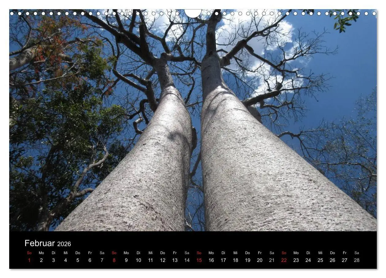 Bild: 9783457959879 | Abenteuer Madagaskar (Wandkalender 2026 DIN A3 quer), CALVENDO...