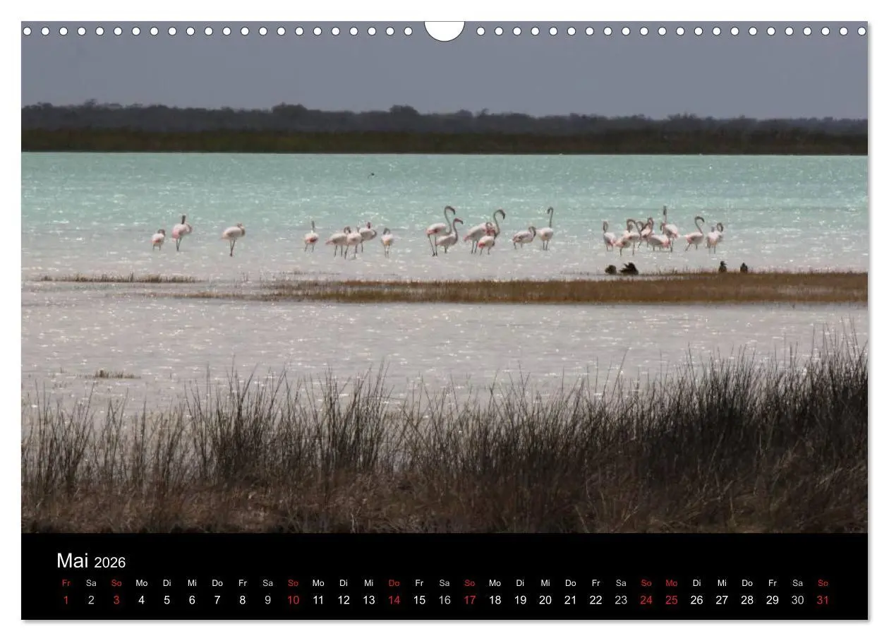 Bild: 9783457959879 | Abenteuer Madagaskar (Wandkalender 2026 DIN A3 quer), CALVENDO...