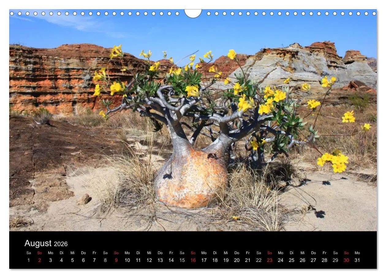 Bild: 9783457959879 | Abenteuer Madagaskar (Wandkalender 2026 DIN A3 quer), CALVENDO...