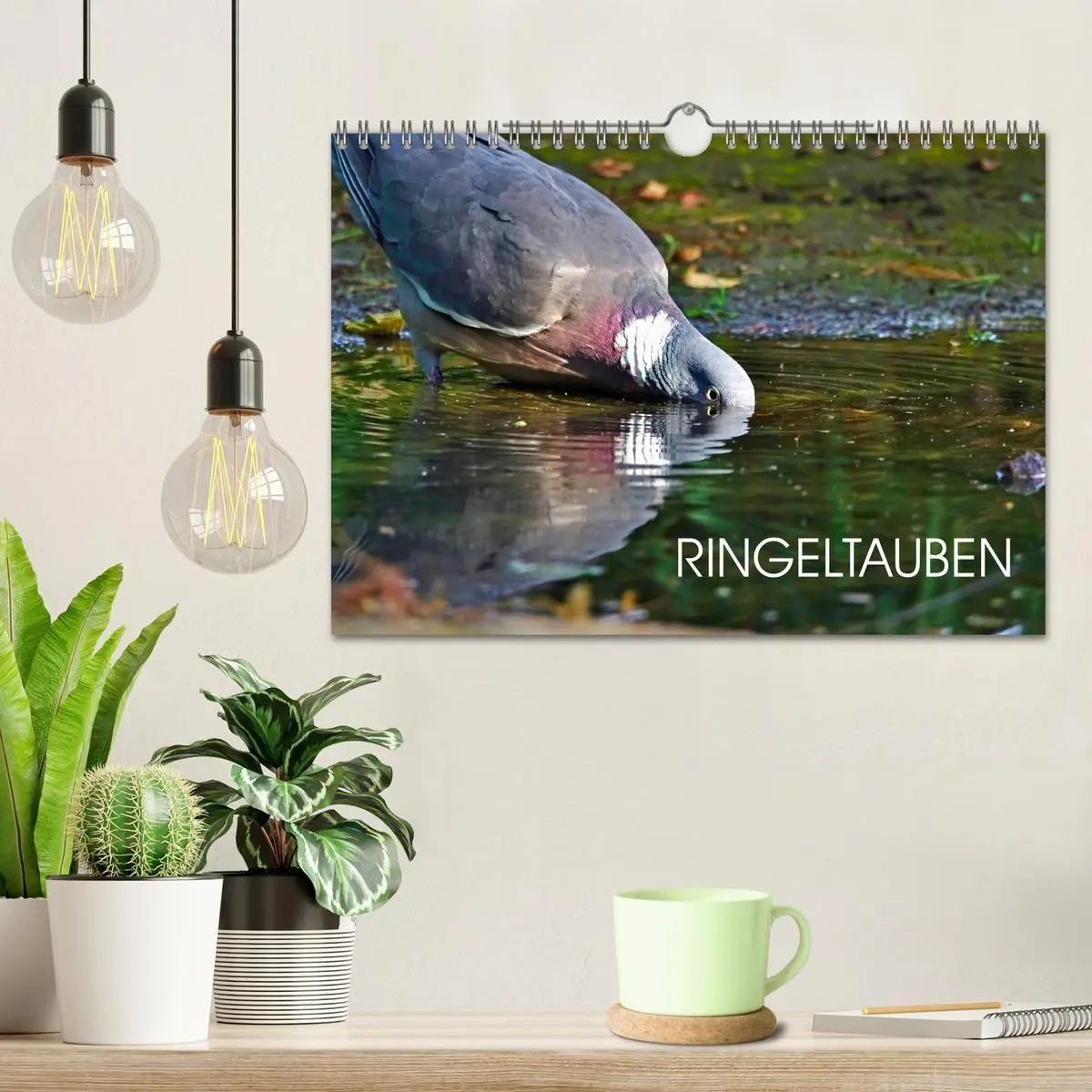 Bild: 9783569519879 | Ringeltauben (Wandkalender 2027 DIN A4 quer), CALVENDO Monatskalender