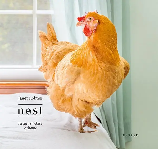 Cover: 9783868289879 | Janet Holmes | Nest. Rescued Chickens at Home | Janet Holmes | Buch