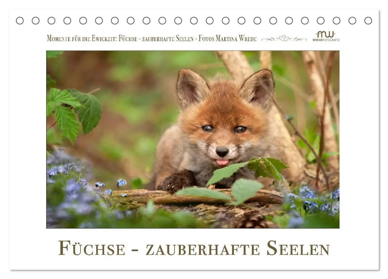 Cover: 9783457499979 | Füchse - zauberhafte Seelen (Tischkalender 2026 DIN A5 quer),...