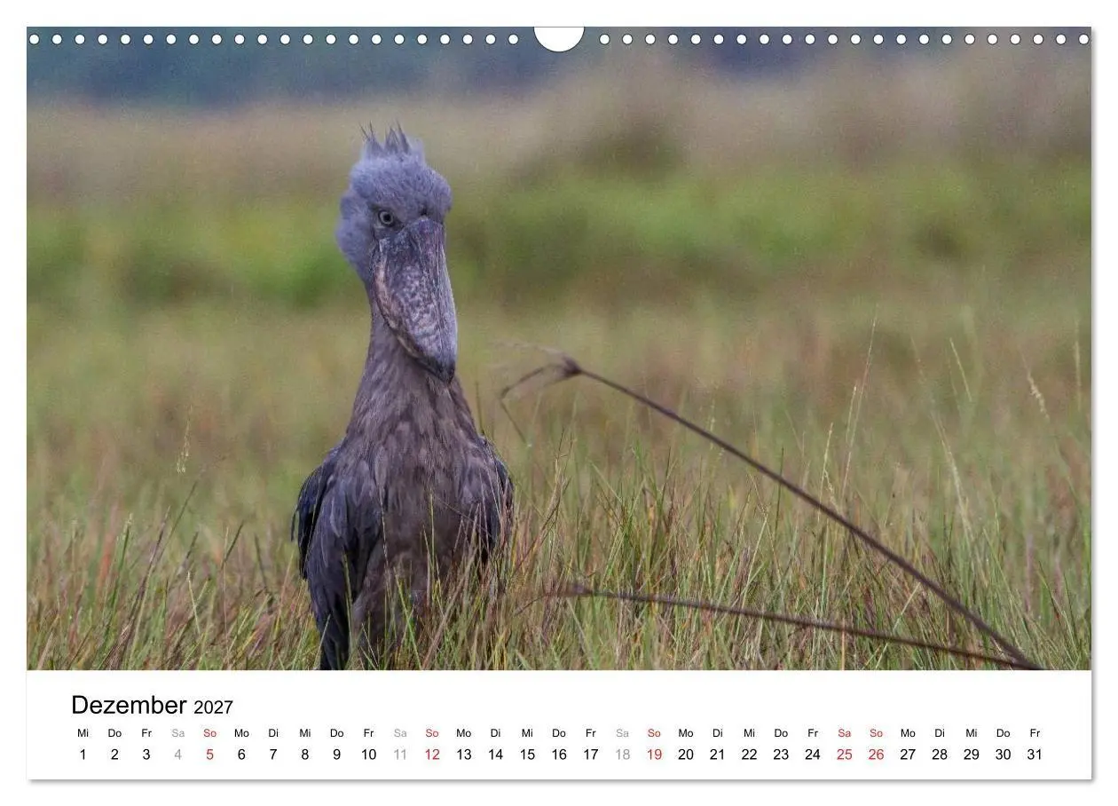 Bild: 9783594019979 | Uganda - die Perle Afrikas (Wandkalender 2027 DIN A3 quer),...