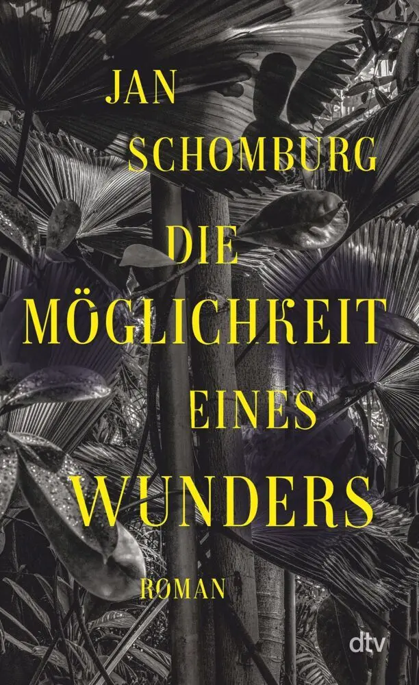 Cover: 9783423290180 | Die Möglichkeit eines Wunders | Jan Schomburg | Buch | 272 S. | 2024