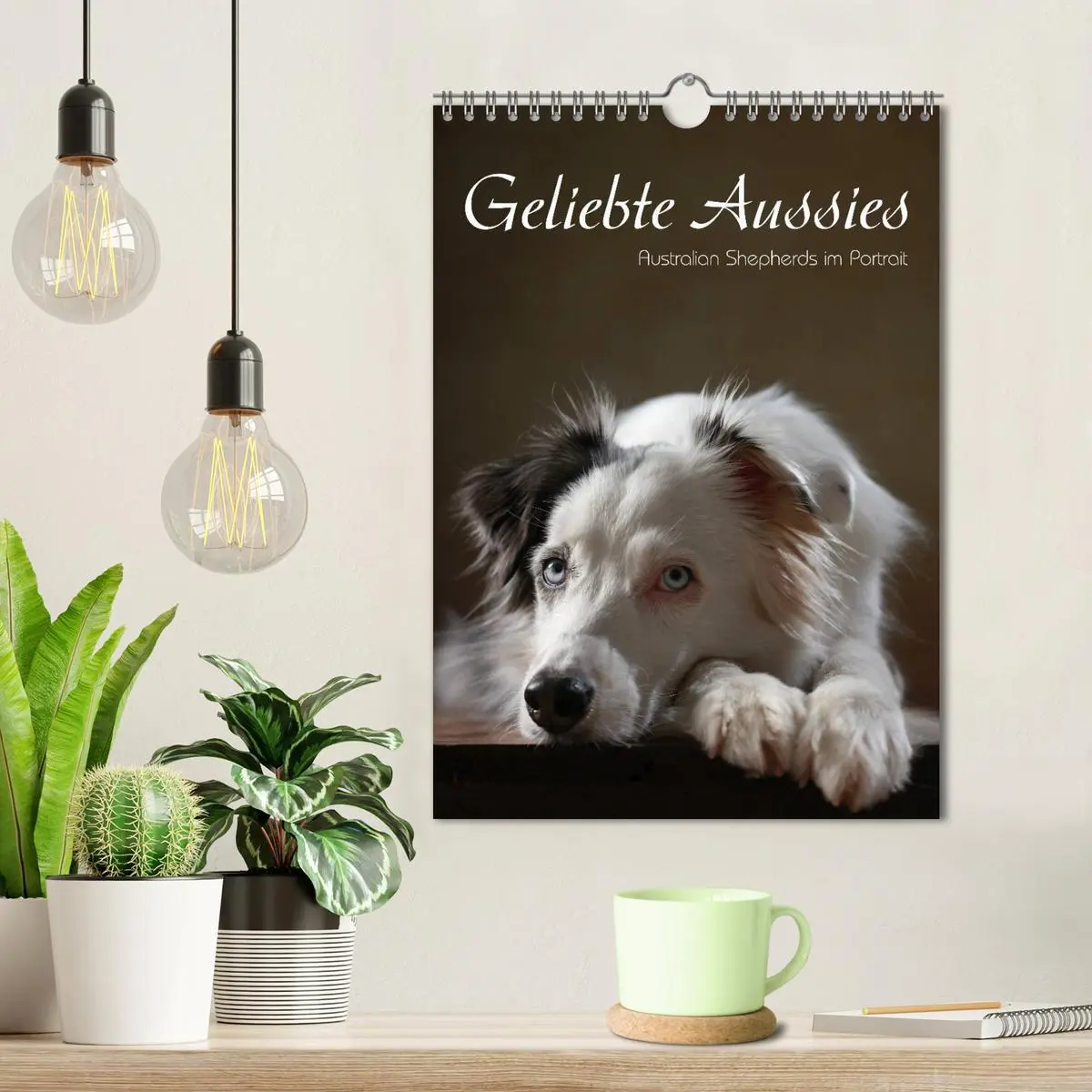 Bild: 9783516420180 | Geliebte Aussies - Australian Shepherds im Portrait (Wandkalender...
