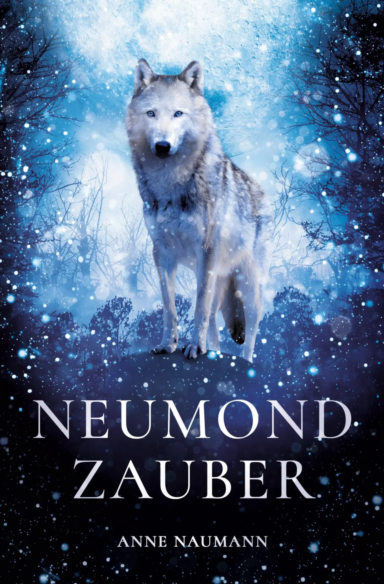 Cover: 9783757920180 | Neumondzauber | Anne Naumann | Taschenbuch | 364 S. | Deutsch | 2024