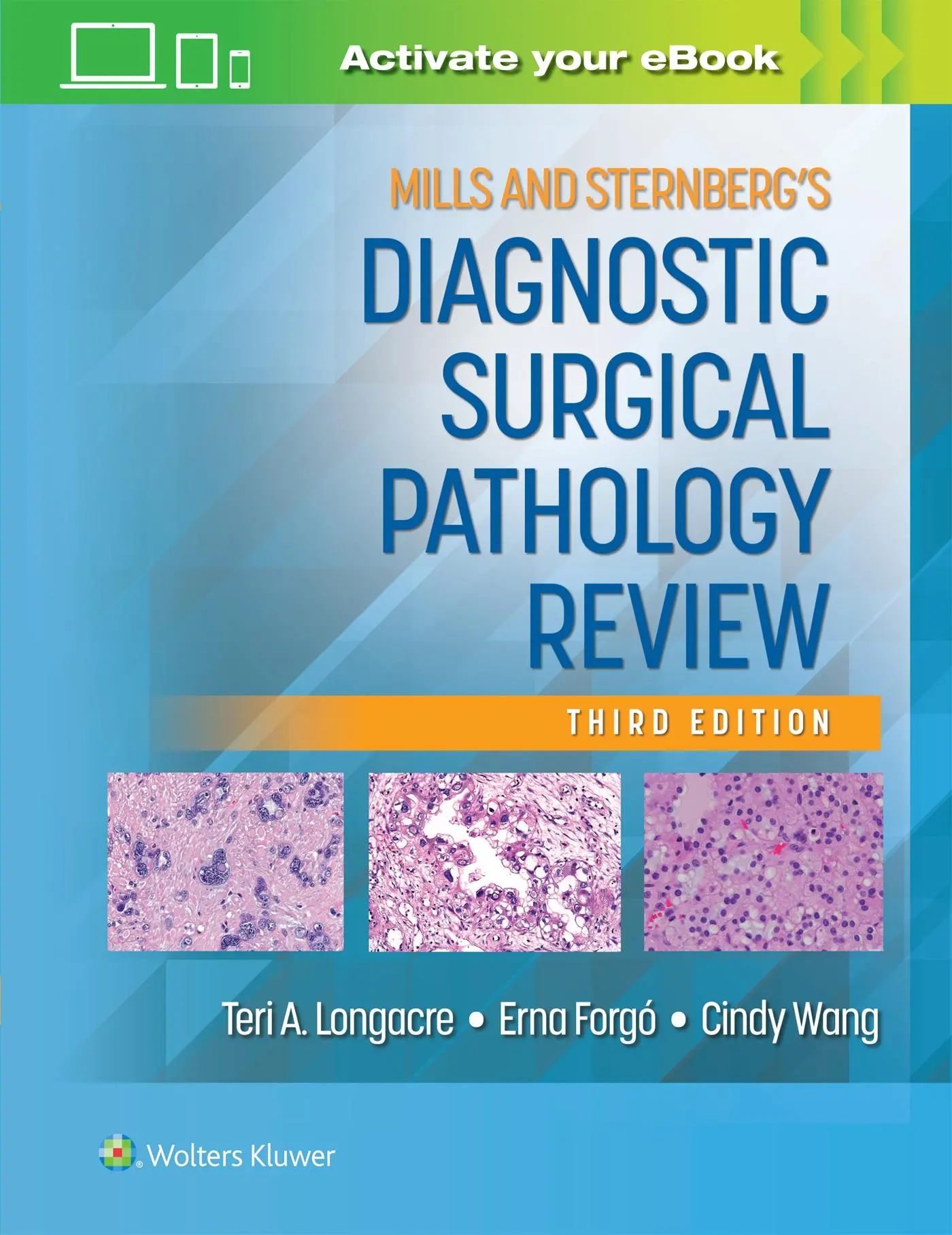 Cover: 9781975220280 | Mills and Sternberg's Diagnostic Surgical Pathology Review: Print +...