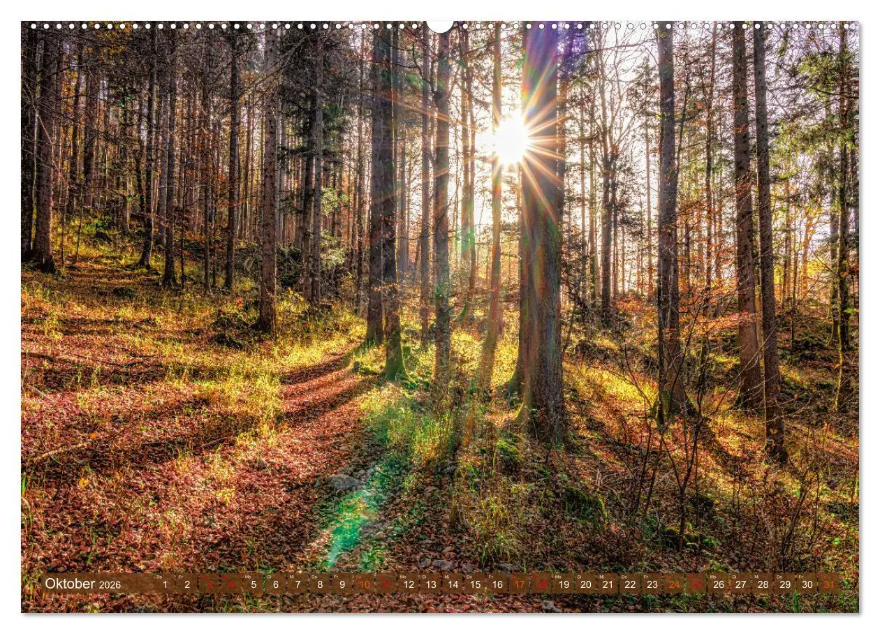 Bild: 9783457490280 | Idyllische Landschaften am Tegernsee (Wandkalender 2026 DIN A2...