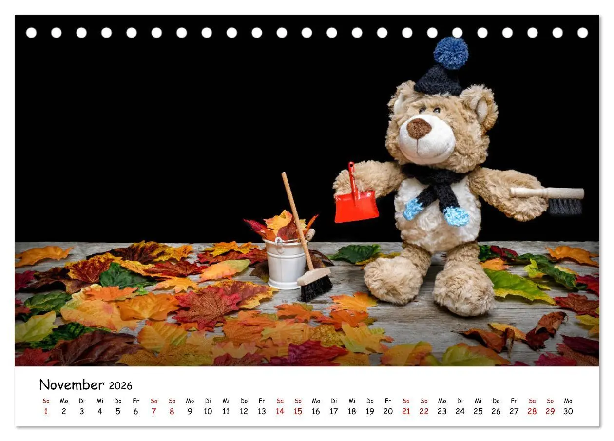 Bild: 9783457700280 | Eddy, der Teddy (Tischkalender 2026 DIN A5 quer), CALVENDO...