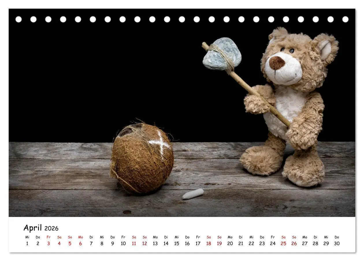 Bild: 9783457700280 | Eddy, der Teddy (Tischkalender 2026 DIN A5 quer), CALVENDO...