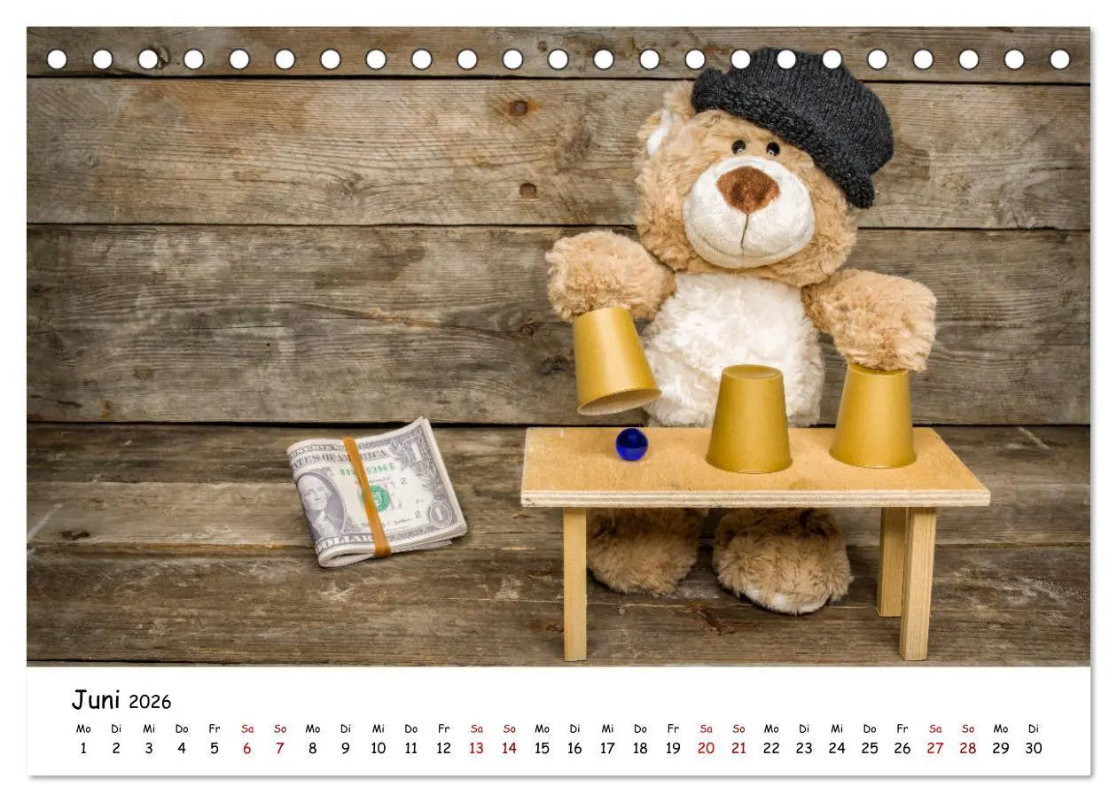 Bild: 9783457700280 | Eddy, der Teddy (Tischkalender 2026 DIN A5 quer), CALVENDO...