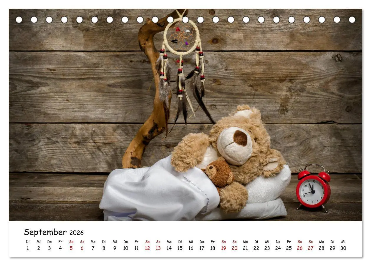 Bild: 9783457700280 | Eddy, der Teddy (Tischkalender 2026 DIN A5 quer), CALVENDO...