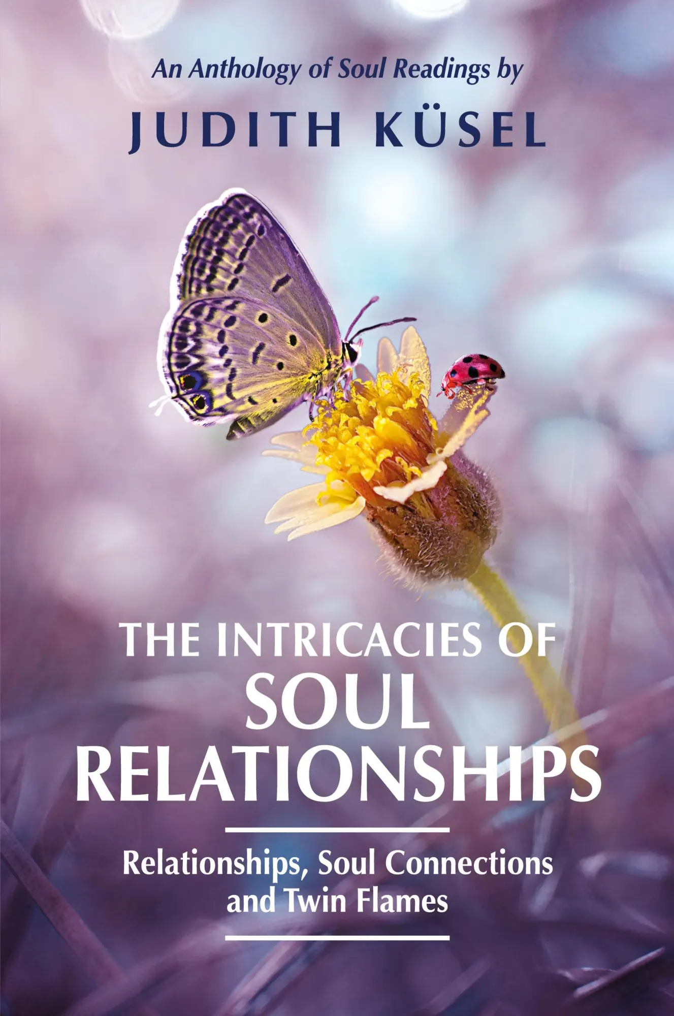 Cover: 9780796120380 | The Intricacies of Soul Relationships | Judith Küsel | Taschenbuch