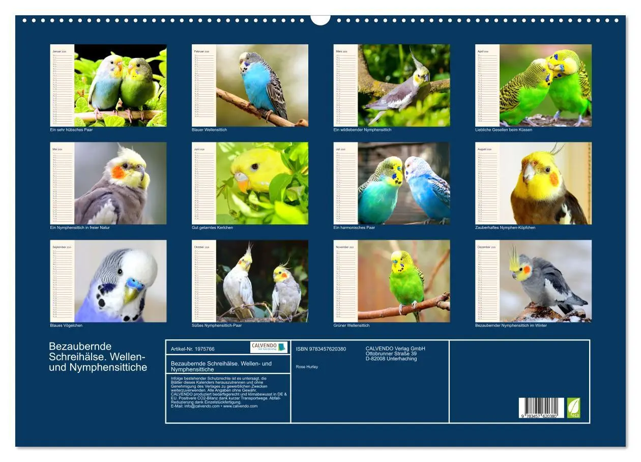 Bild: 9783457620380 | Bezaubernde Schreihälse. Wellen- und Nymphensittiche (Wandkalender...