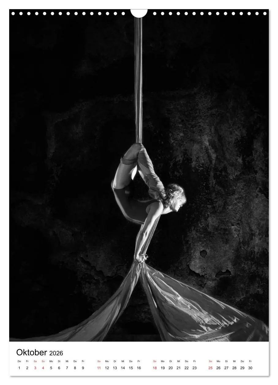 Bild: 9783516400380 | VERTIKALTUCH Artistik (Wandkalender 2026 DIN A3 hoch), CALVENDO...