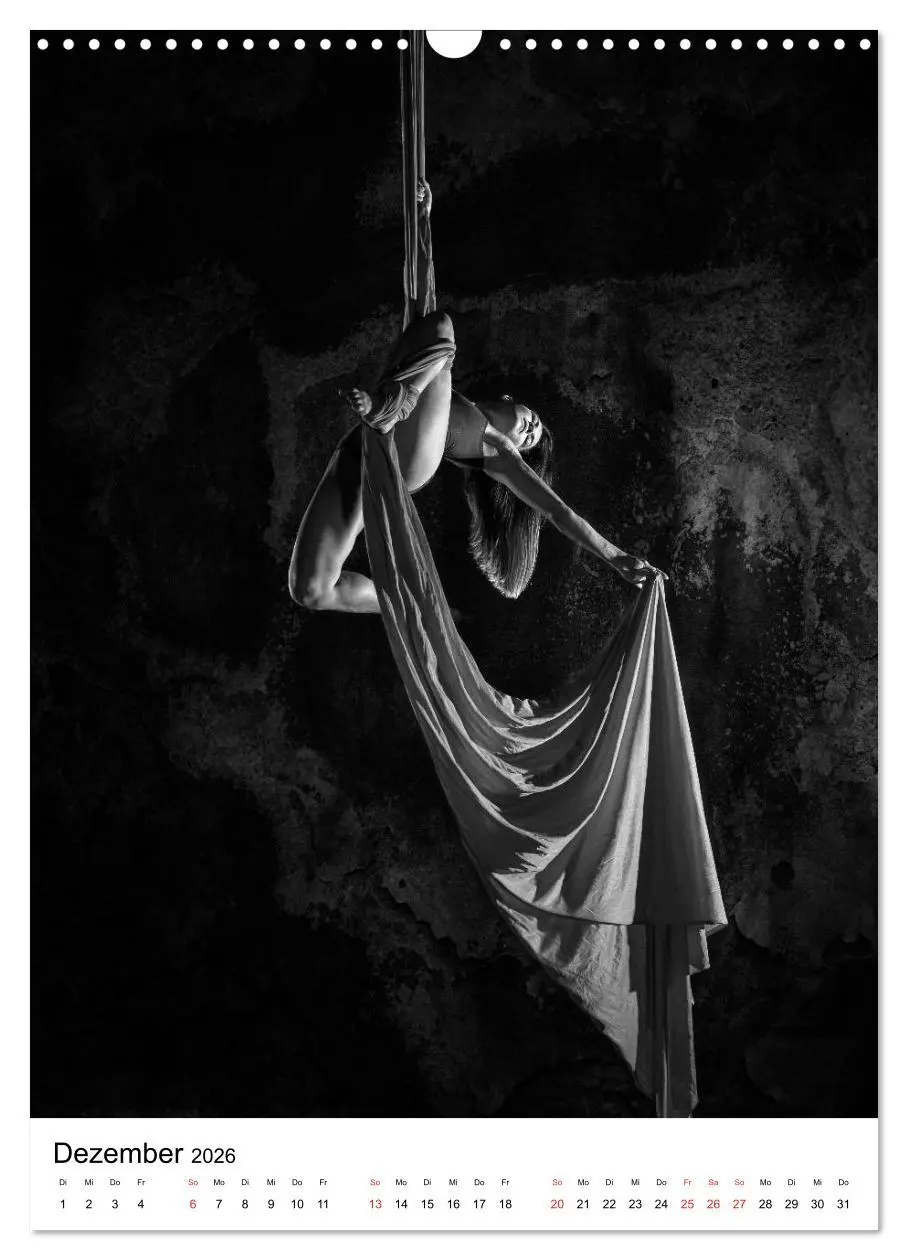 Bild: 9783516400380 | VERTIKALTUCH Artistik (Wandkalender 2026 DIN A3 hoch), CALVENDO...