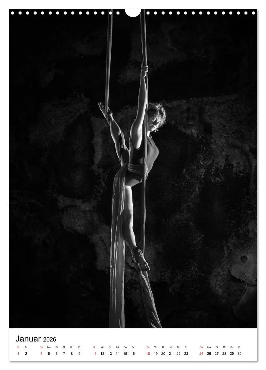 Bild: 9783516400380 | VERTIKALTUCH Artistik (Wandkalender 2026 DIN A3 hoch), CALVENDO...
