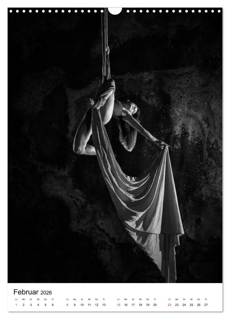 Bild: 9783516400380 | VERTIKALTUCH Artistik (Wandkalender 2026 DIN A3 hoch), CALVENDO...