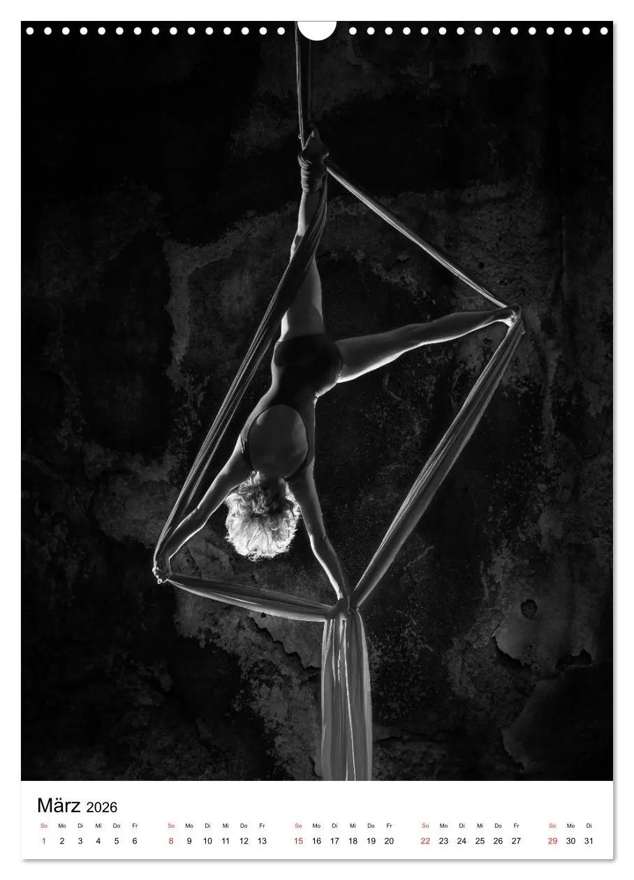 Bild: 9783516400380 | VERTIKALTUCH Artistik (Wandkalender 2026 DIN A3 hoch), CALVENDO...