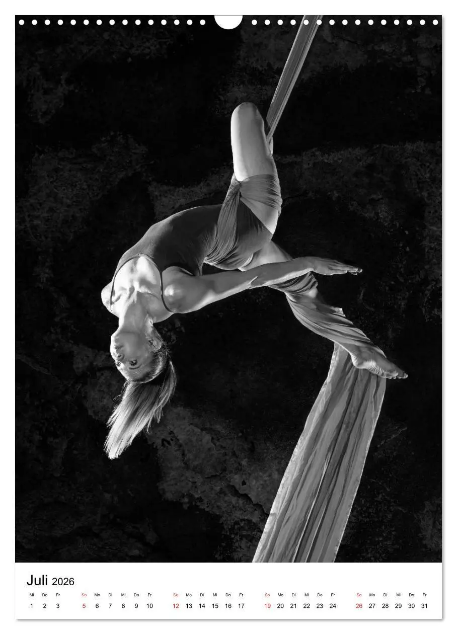 Bild: 9783516400380 | VERTIKALTUCH Artistik (Wandkalender 2026 DIN A3 hoch), CALVENDO...
