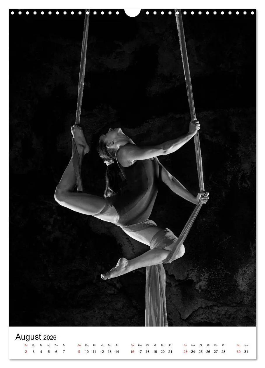 Bild: 9783516400380 | VERTIKALTUCH Artistik (Wandkalender 2026 DIN A3 hoch), CALVENDO...