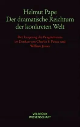 Cover: 9783934730380 | Der dramatische Reichtum der konkreten Welt | Helmut Pape | Buch