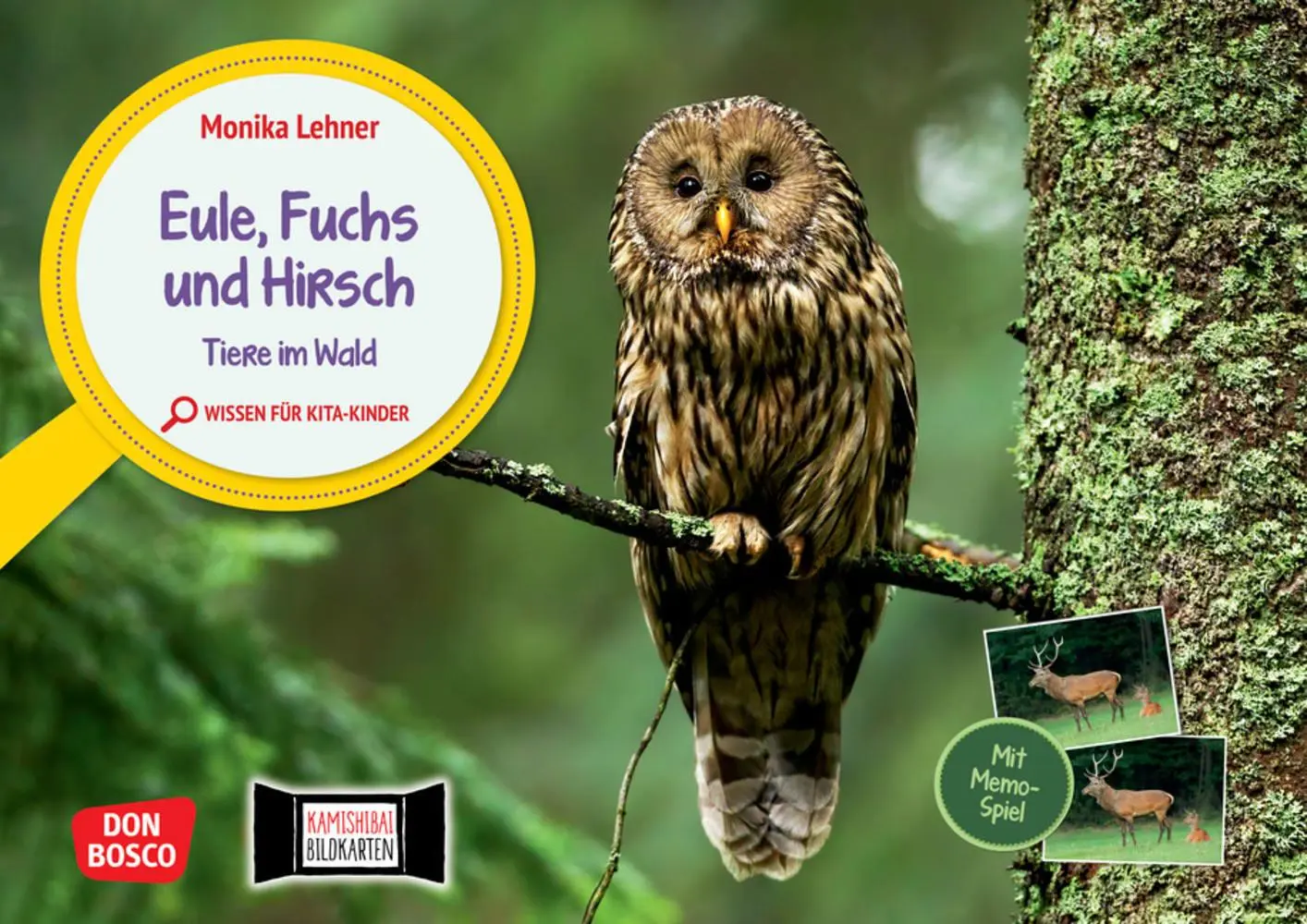 Cover: 4260694920480 | Eule, Fuchs und Hirsch. Tiere im Wald | Monika Lehner | Box | 11 S.