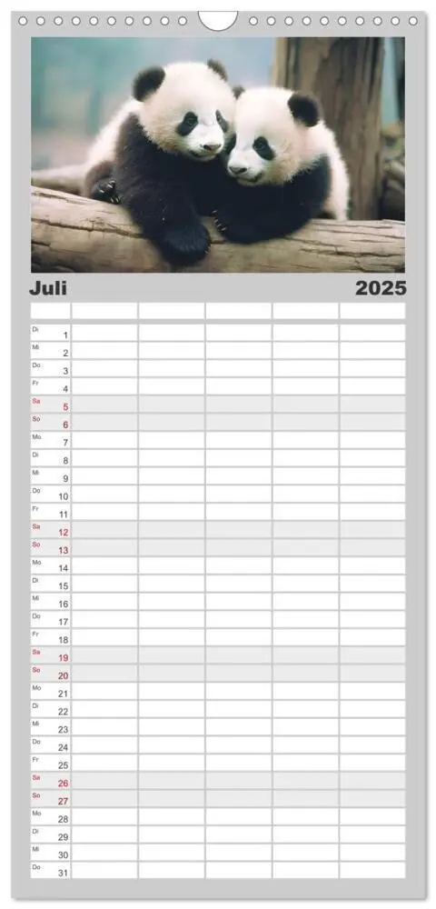 Bild: 9783457090480 | Familienplaner 2025 - Unzertennlich mit 5 Spalten (Wandkalender, 21...