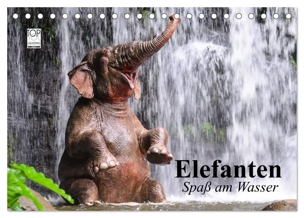 Cover: 9783516010480 | Elefanten. Spaß am Wasser (Tischkalender 2026 DIN A5 quer),...