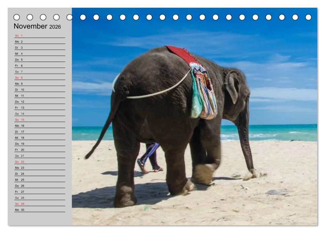 Bild: 9783516010480 | Elefanten. Spaß am Wasser (Tischkalender 2026 DIN A5 quer),...