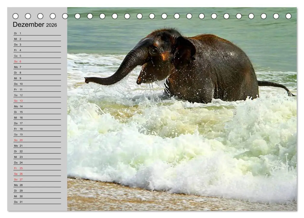 Bild: 9783516010480 | Elefanten. Spaß am Wasser (Tischkalender 2026 DIN A5 quer),...