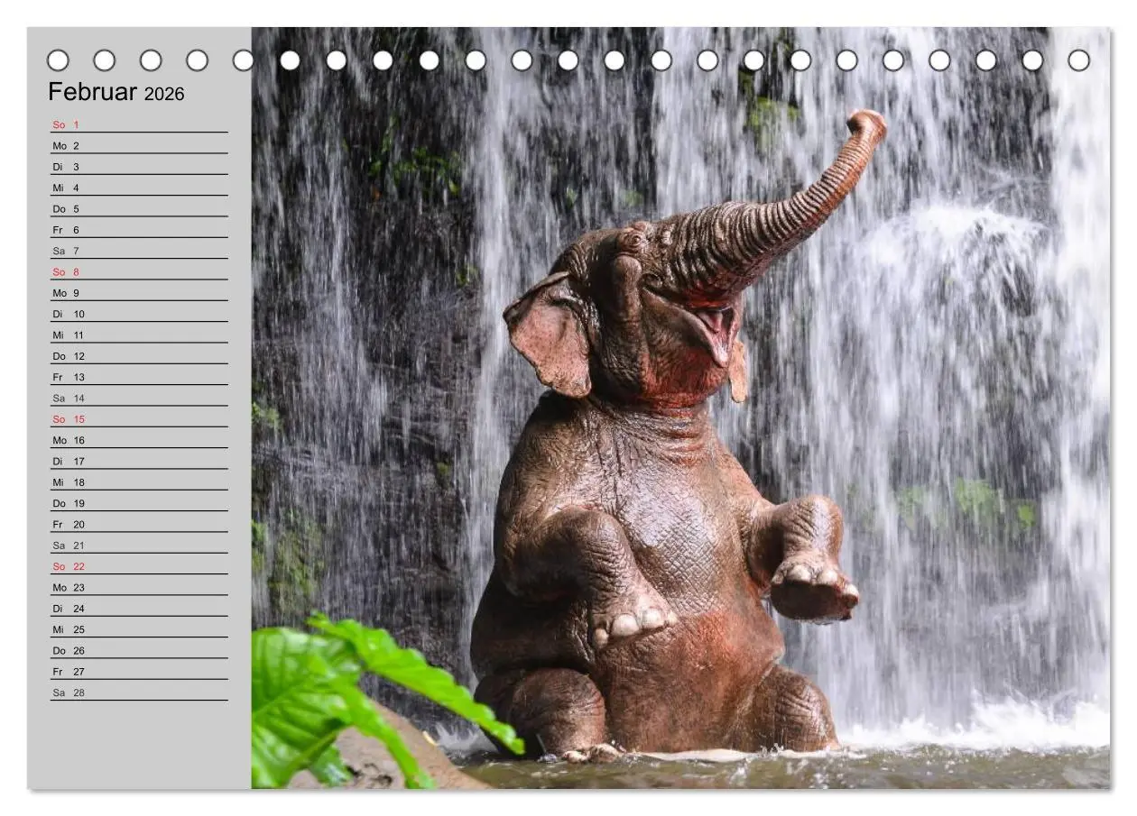 Bild: 9783516010480 | Elefanten. Spaß am Wasser (Tischkalender 2026 DIN A5 quer),...