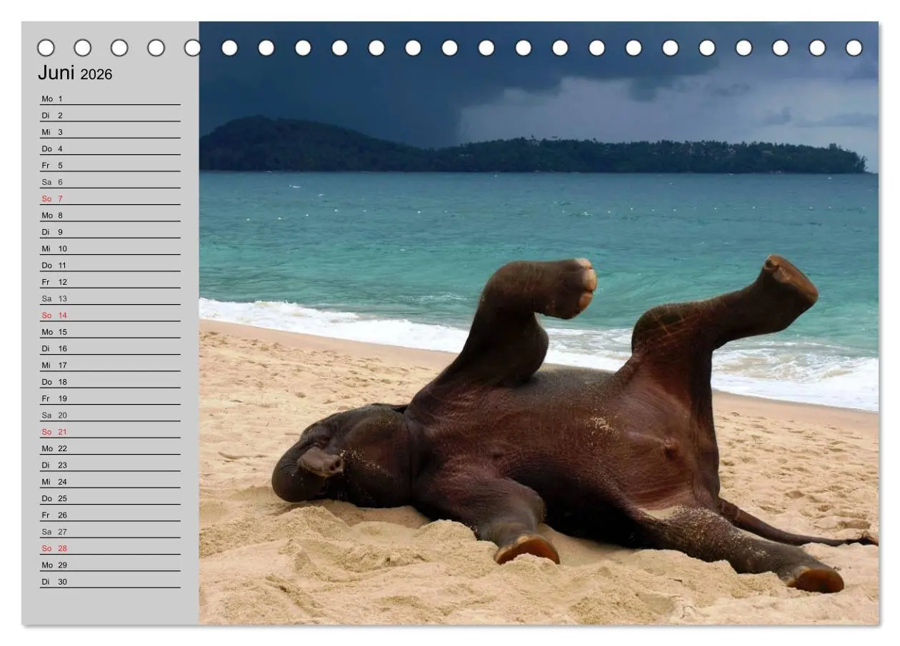 Bild: 9783516010480 | Elefanten. Spaß am Wasser (Tischkalender 2026 DIN A5 quer),...