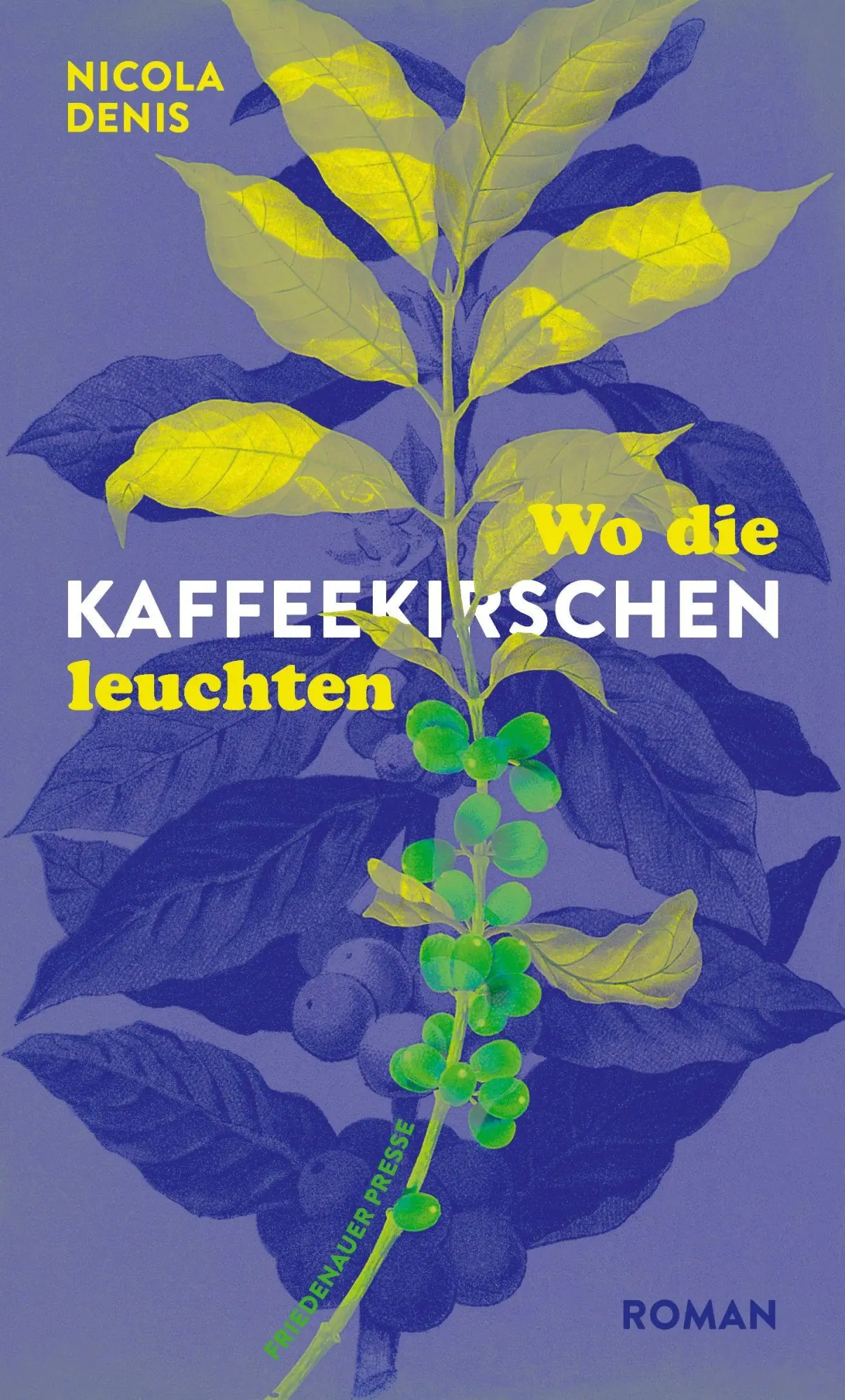 Cover: 9783751880480 | Wo die Kaffeekirschen leuchten | Roman | Nicola Denis | Buch | 340 S.