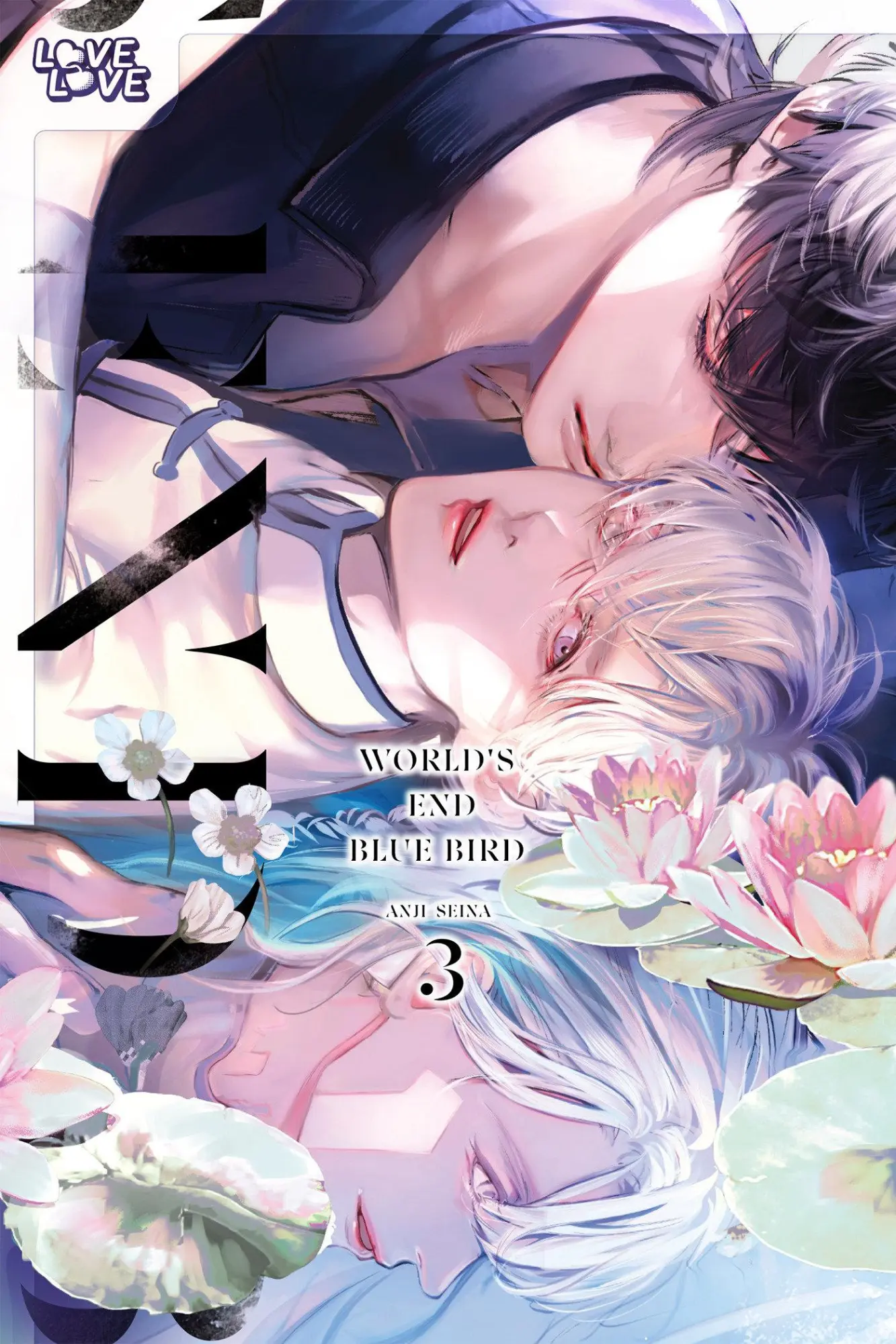 Cover: 9781427880680 | World's End Blue Bird, Volume 3 | Anji Seina | Taschenbuch | Englisch