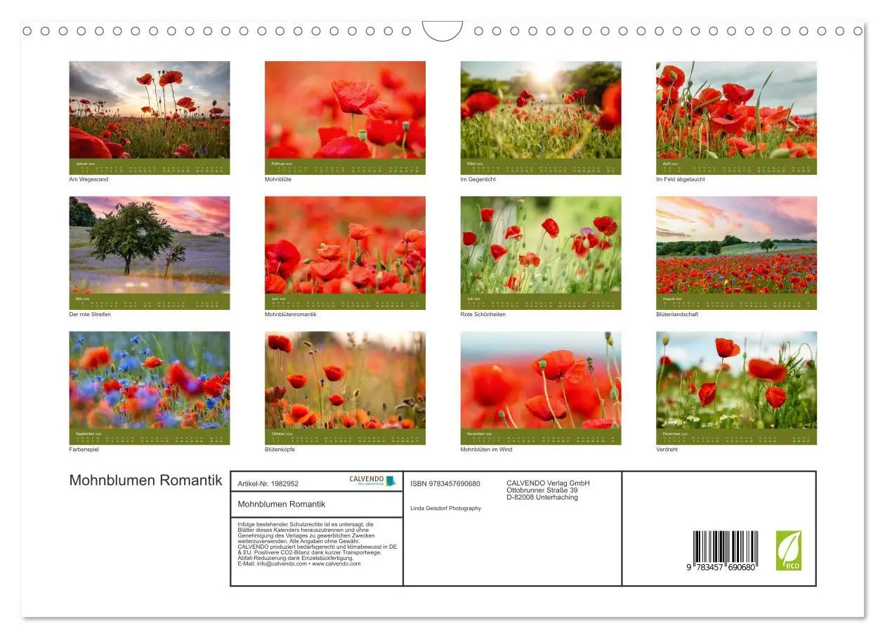 Bild: 9783457690680 | Mohnblumen Romantik (Wandkalender 2026 DIN A3 quer), CALVENDO...